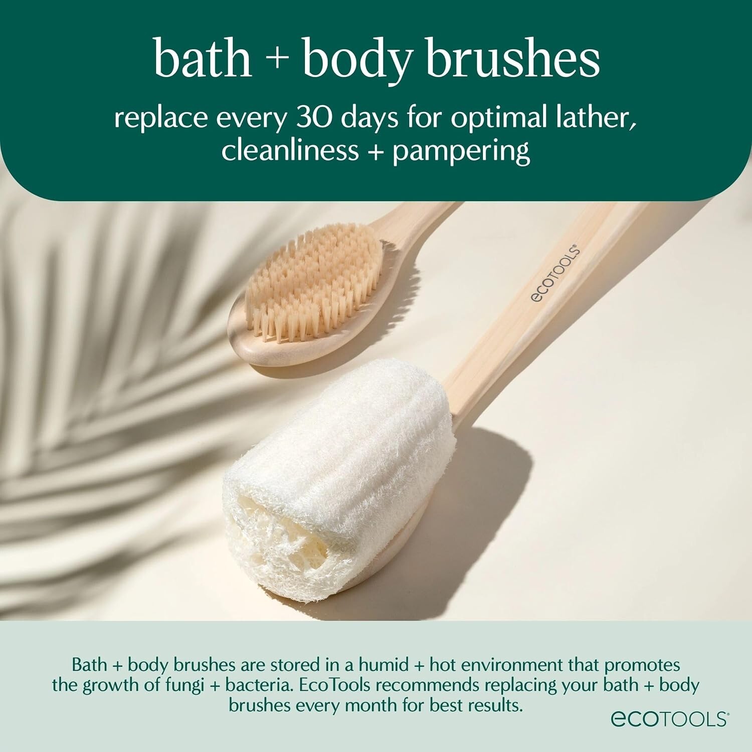 EcoTools Dry Body Brush, for Post Shower & Bath Skincare Routine