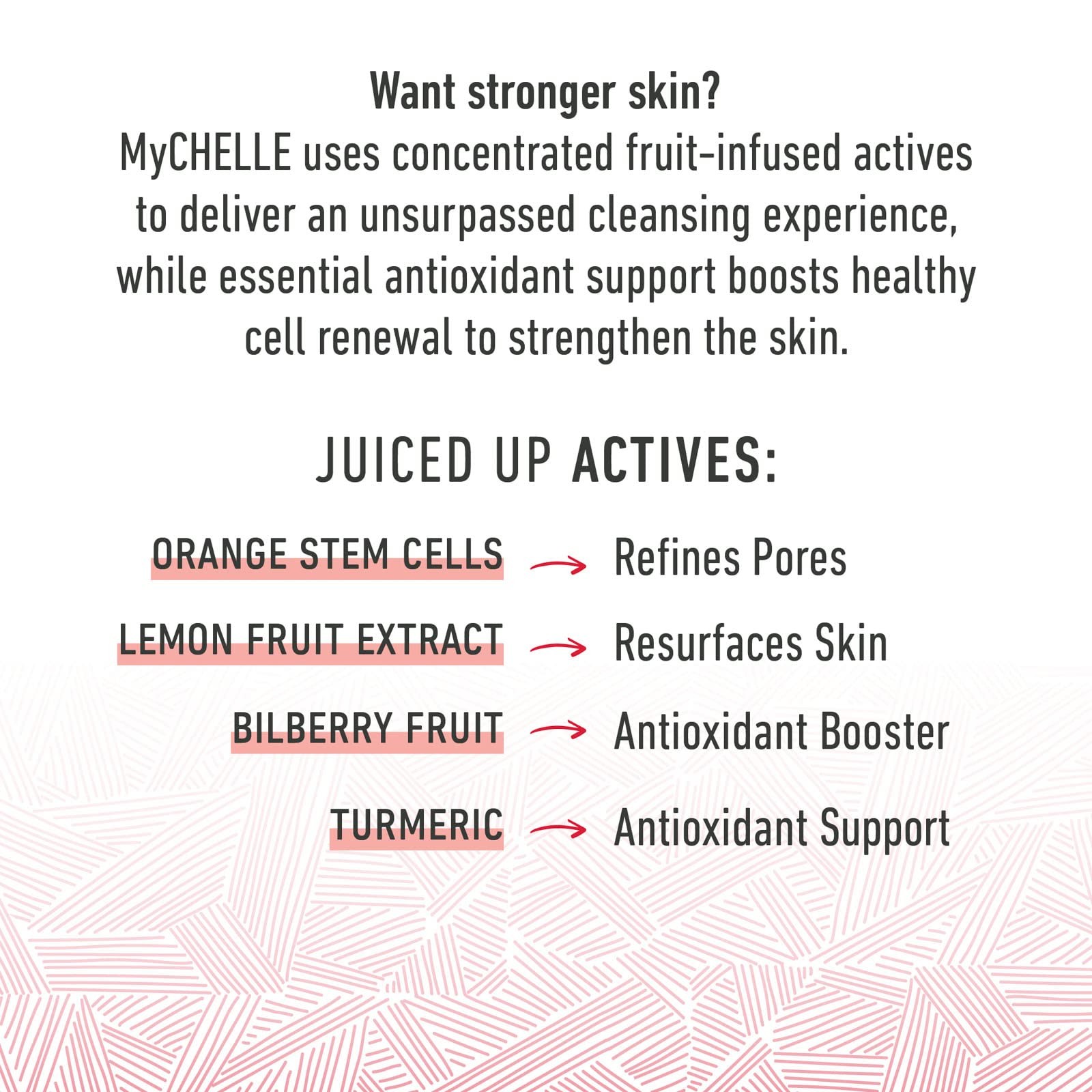 MyChelle Dermaceuticals Fruit Enzyme Cleanser 1 Count (Pack of 1),