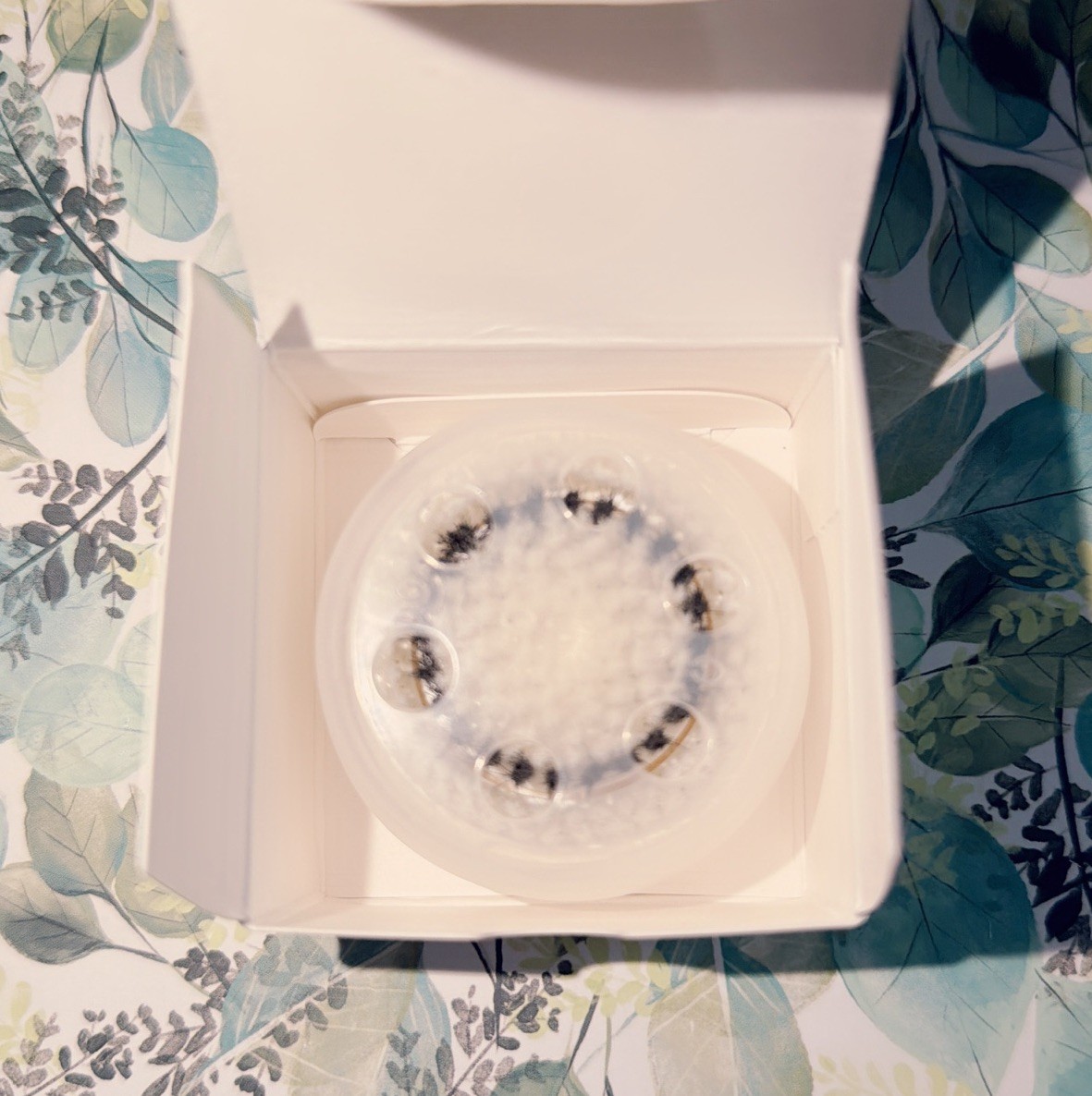 Clarisoinc Cleansing system Replacement Sensitive Brush Heads Free Shipping