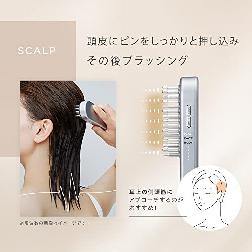 SALONIA SAL22206SL | EMS Lift Brush Electric Brush Face Care Scalp