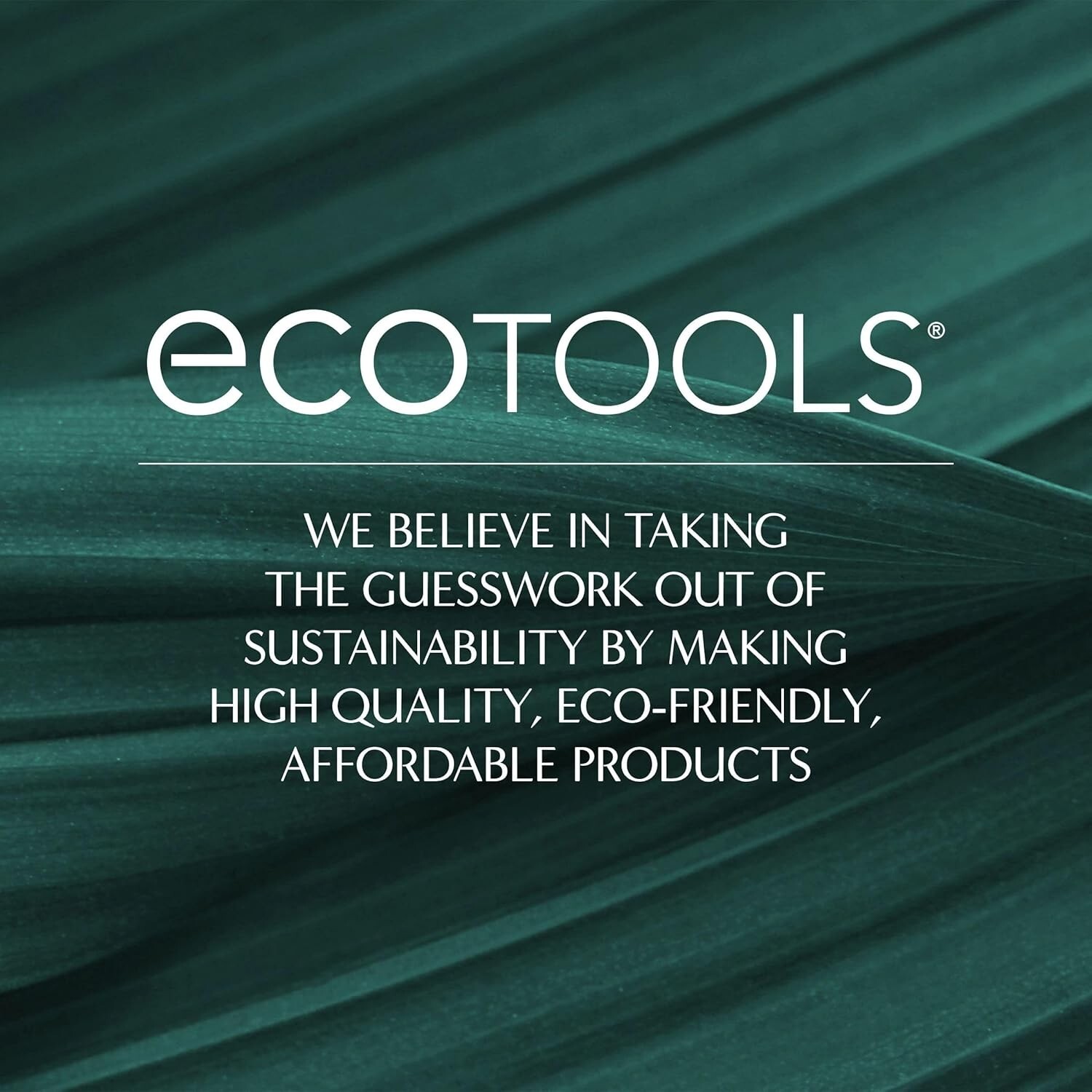 EcoTools Dry Body Brush, for Post Shower & Bath Skincare Routine