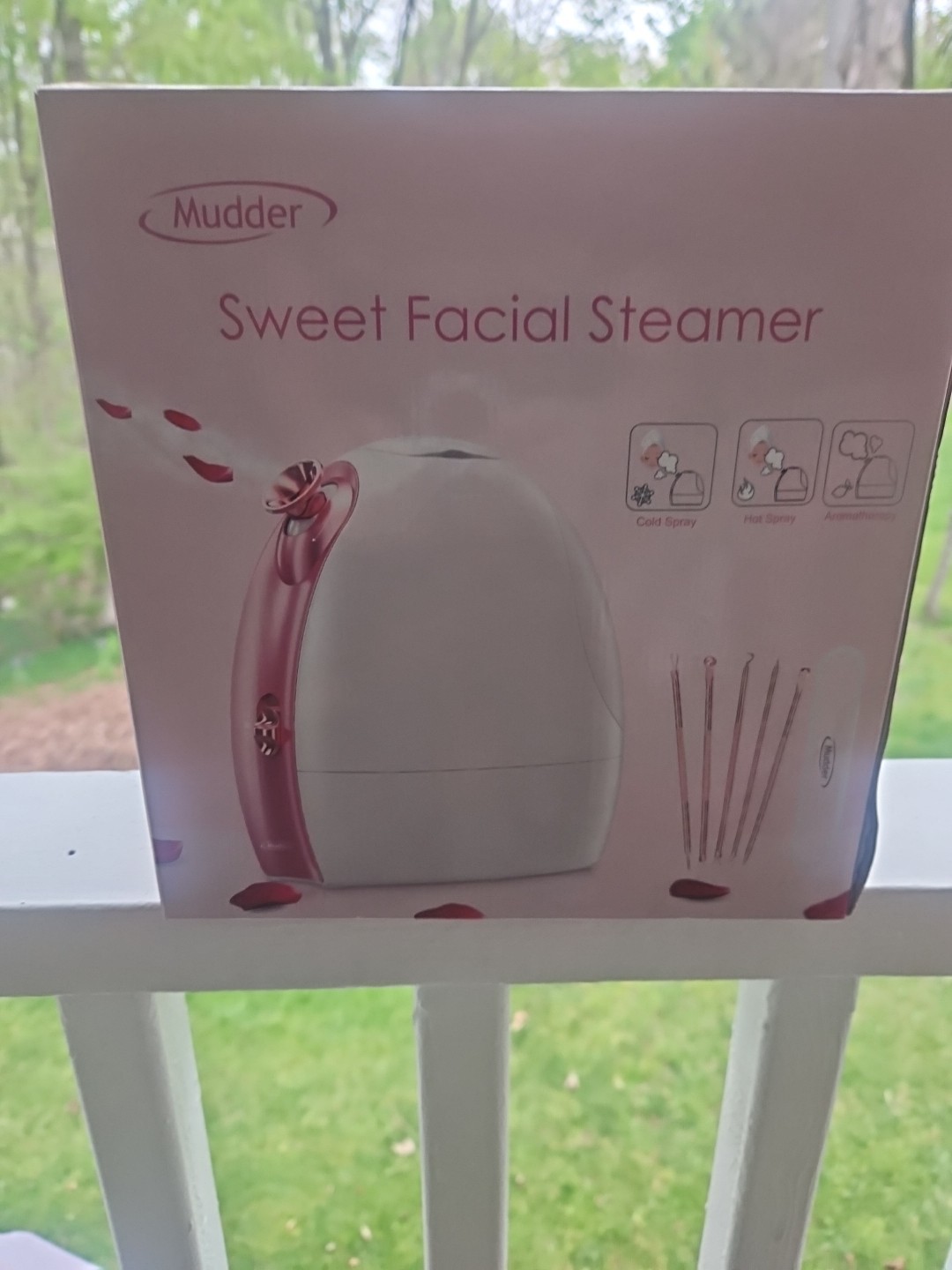 Murder Sweet Facial Steamer