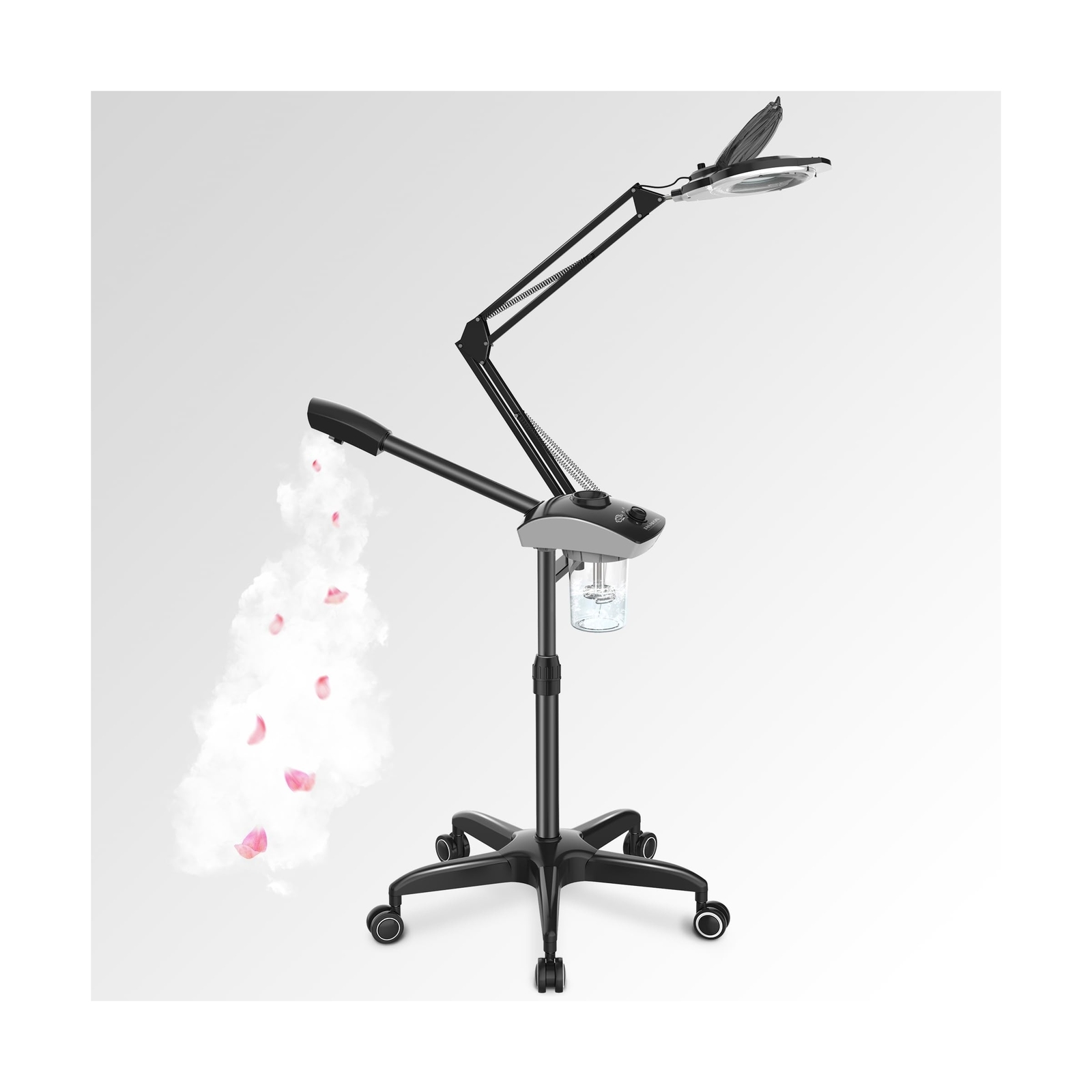 TASALON Professional Facial Steamer with 5X Magnifying Lamp, 2-in-1 Esthetici…