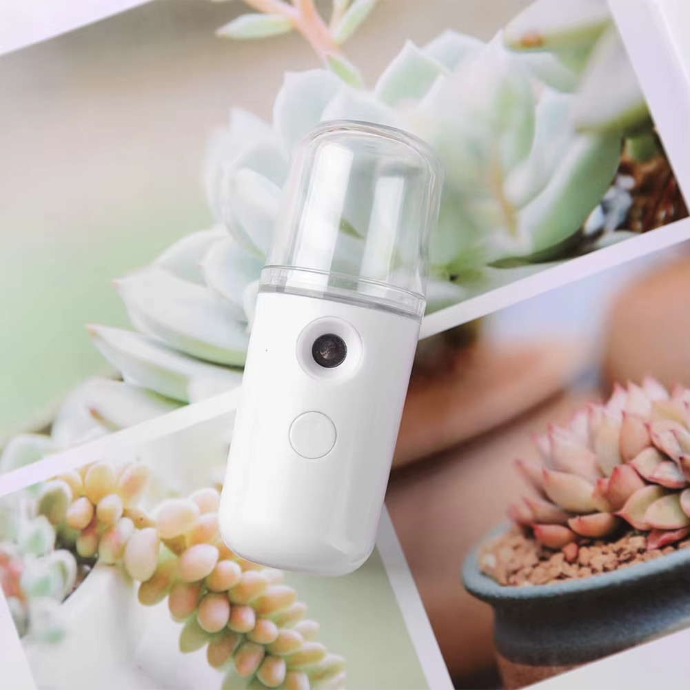 Mini Nano Mister 30Ml Visual Water Tank Cool Mist Facial Steamer Mini Beauty Dev