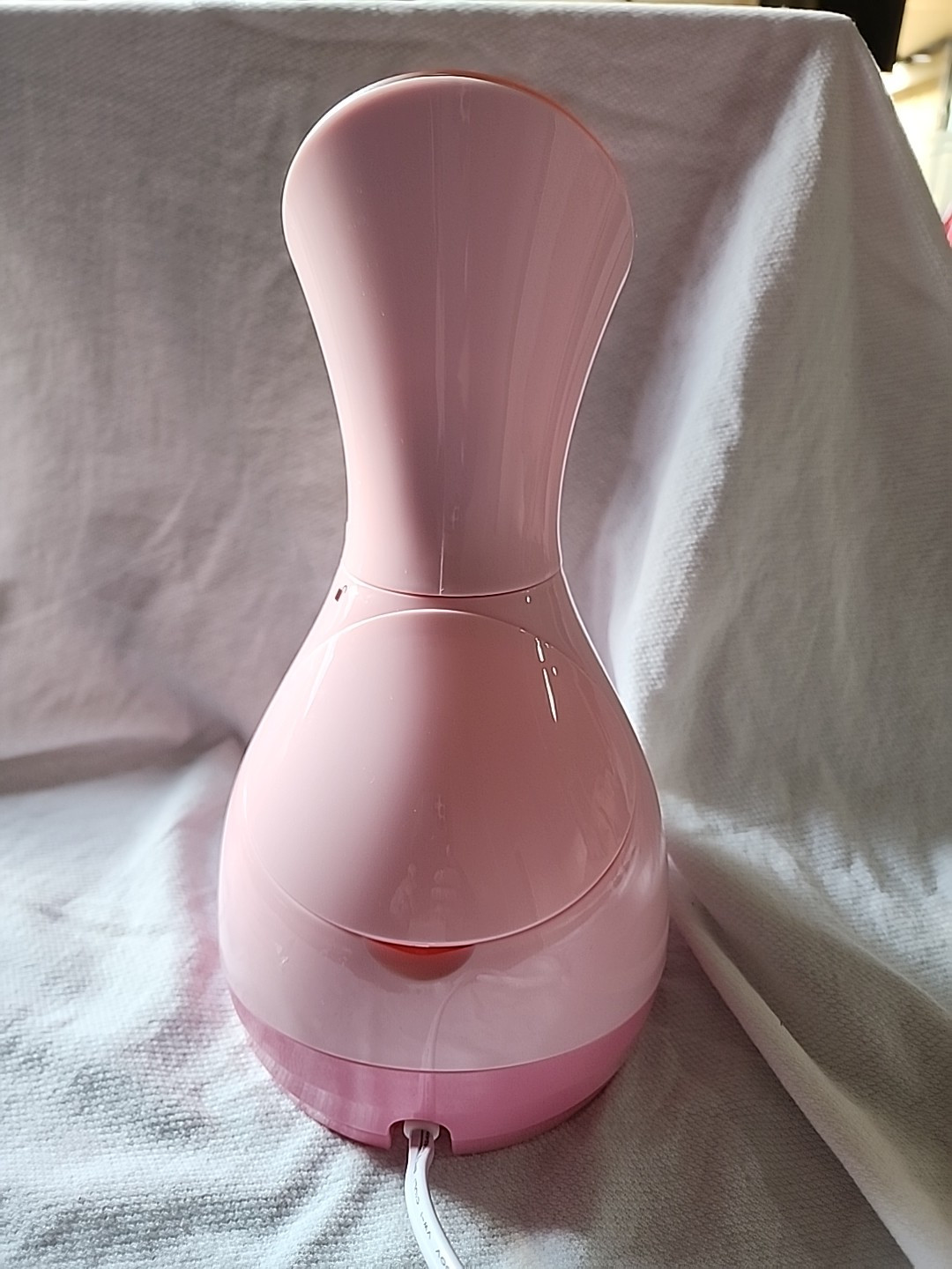 Facial Steamer
