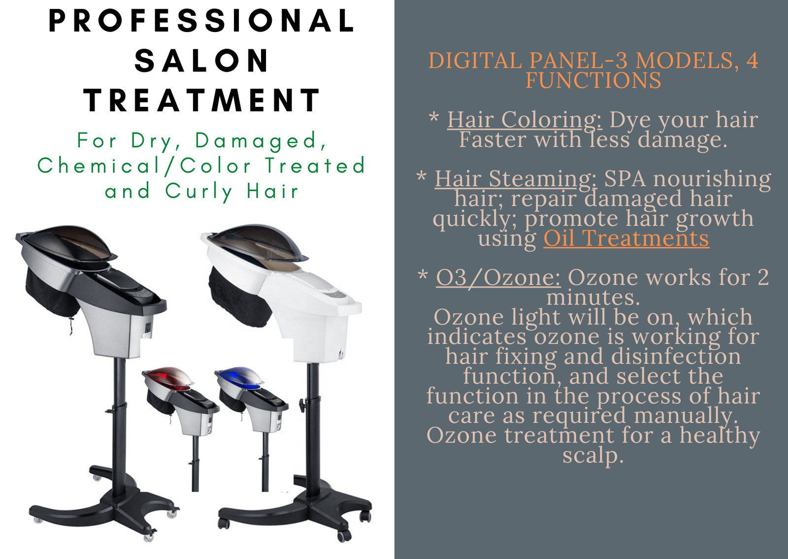 Professional Ultrasonic Micro Nano LED Ozone Mist Steamer for DRY DAMAGED Hair