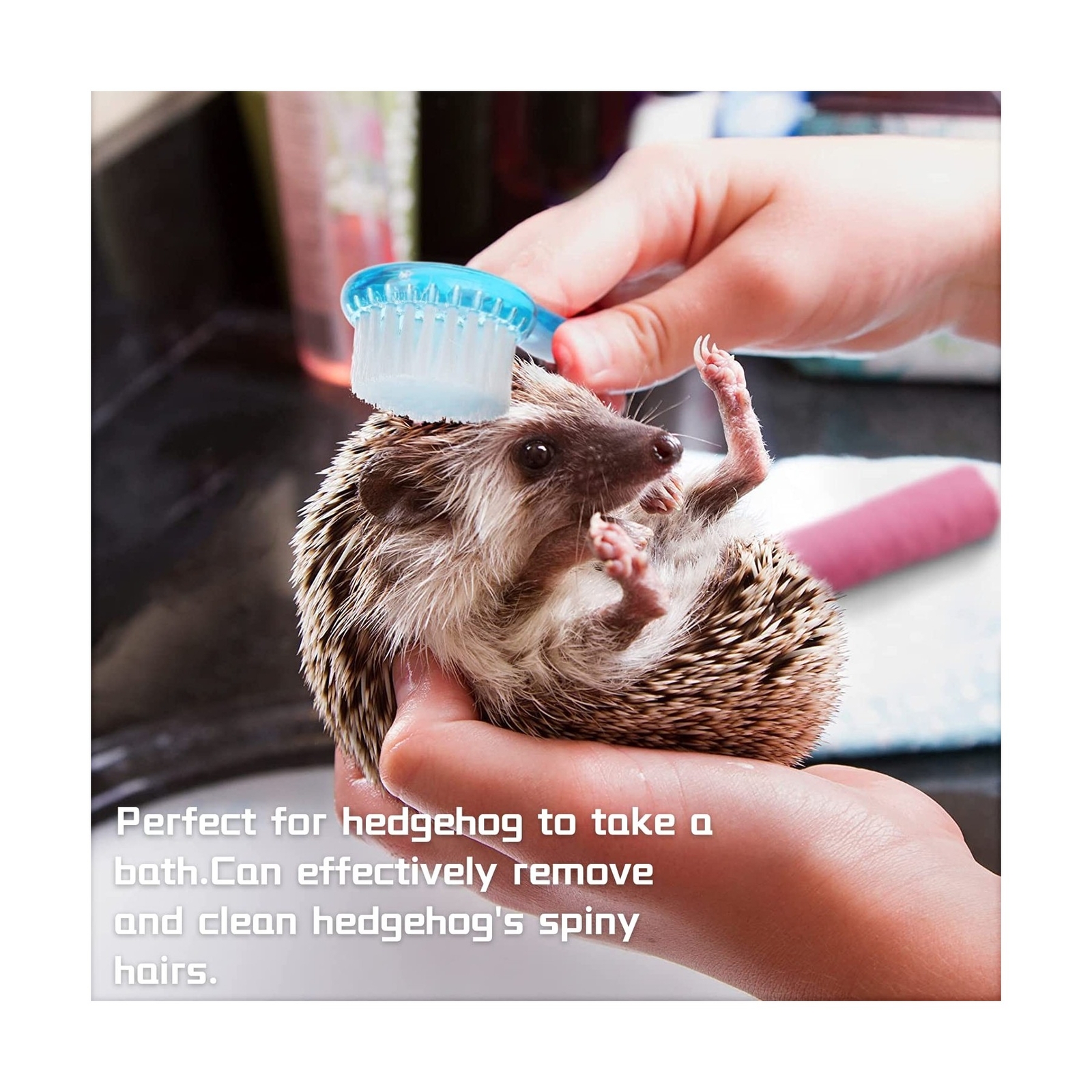 3 Pack Hamster Brush – Small Animal Bath Brush with Lid Soft Cleansing Brush …
