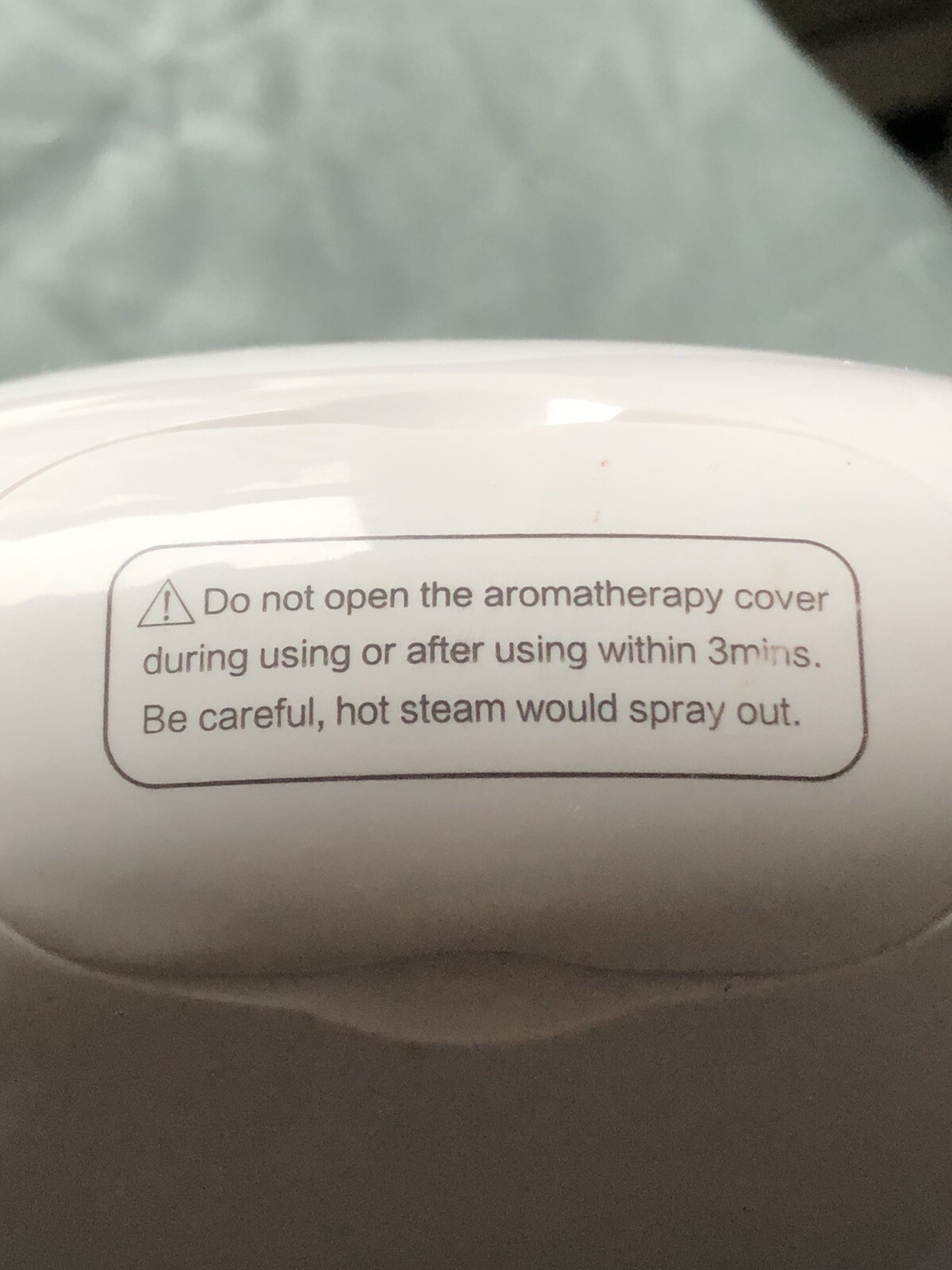 Newbealer Pro Facial Steamer, Household Humidifier & Aroma Diffuser NB388 Green