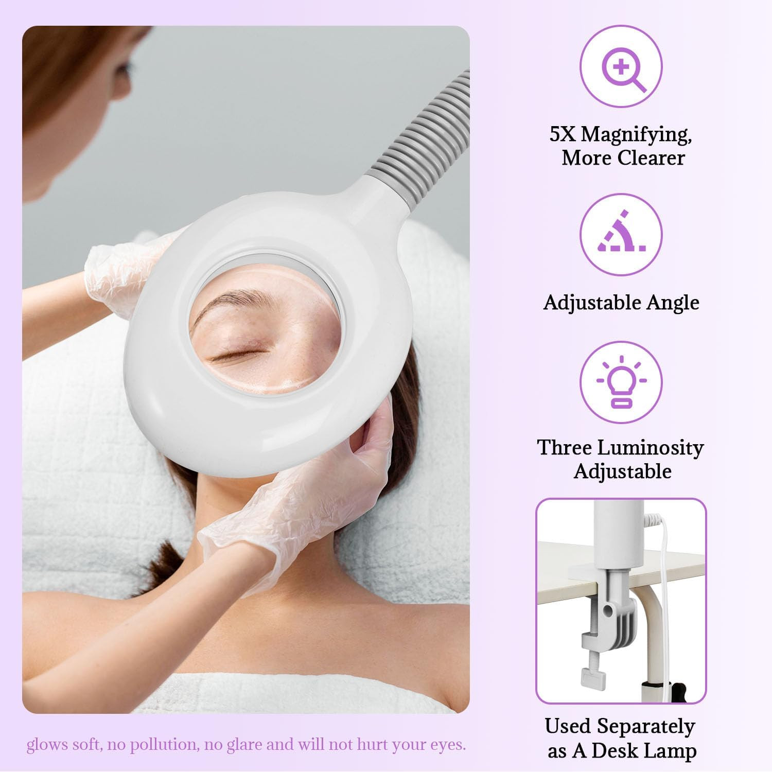 3 in 1 Facial Steamer,Professional Facial Steamer with 5X Magnifying LED Lamp, E