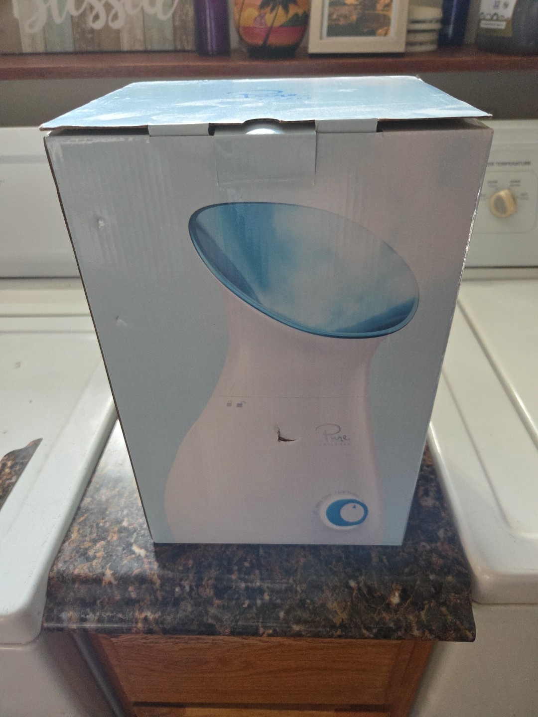 NanoSteamer Large 3-in-1 Nano Ionic Facial Steamer with Precise Temp Control