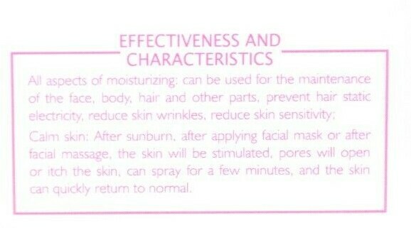 Nano Spray Watering Instrument Moisturizing Wireless Mist Face WHITE USB CHARGE