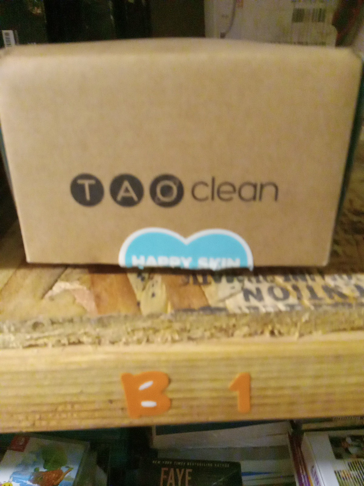 TAO Clean Replacement Daily Care Brush Heads, Replacement Heads – Newb1