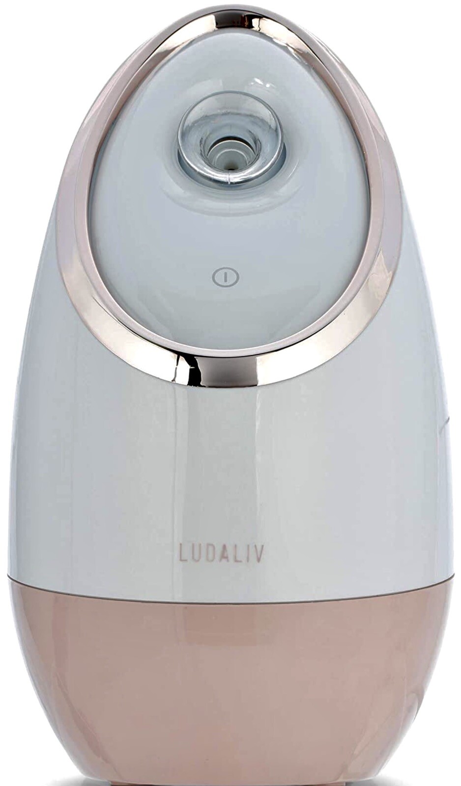 Face Steamer Ionic Facial Sauna Home Spa Face Skin & Pore Cleaner Ludaliv (Gold)
