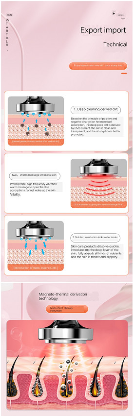 LED Photon Facial Lifting Massager Skin Tightening Rejuvenation Beauty Machine