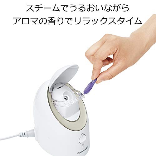 Panasonic Steamer Nano Care Compact Type Gold Tone EH-SA3B-N Japan