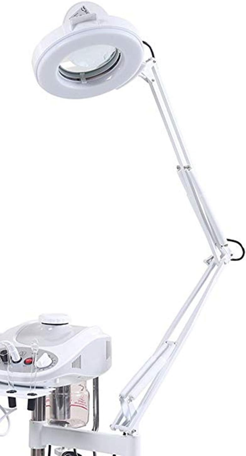 Funnylife 3 in 1 Aromatherapy Facial Steamer, 5X Magnifying LED Lamp, High Frequ
