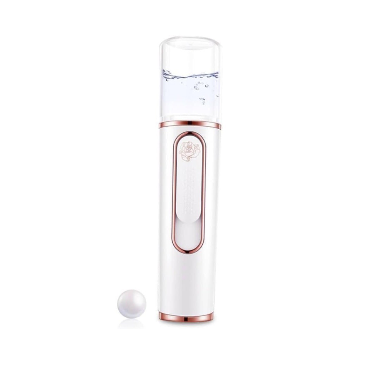 iShow Ultrasonic Nano Water Replenishing Instrument Facial Mister Sprayer