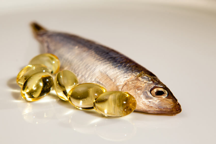 Immune support oxbow – OMEGA 8060 1B – fish oil and flaxseed oil