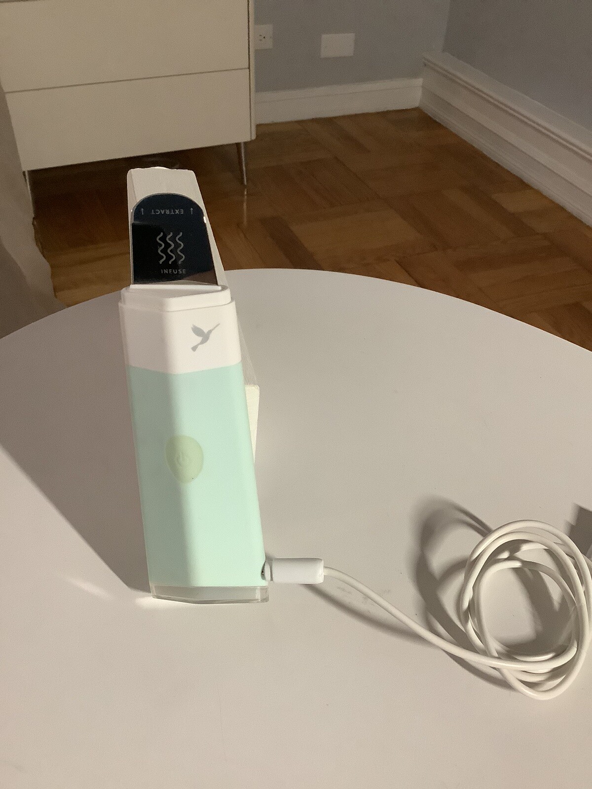 Dermaflash Dermapore Pore Extractor & Serum Infuser-Mint Green.