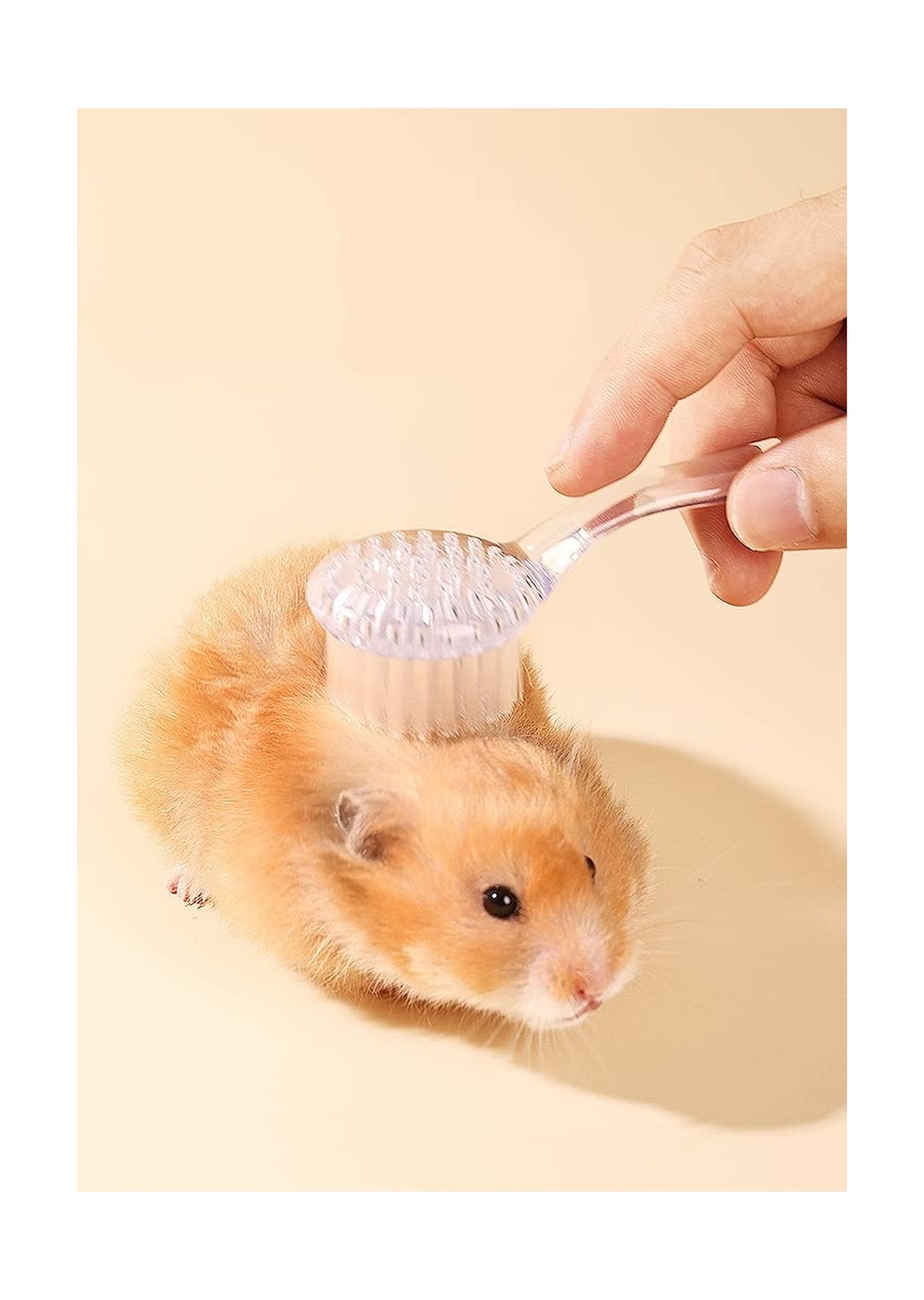 3 Pack Hamster Brush – Small Animal Bath Brush with Lid Soft Cleansing Brush …