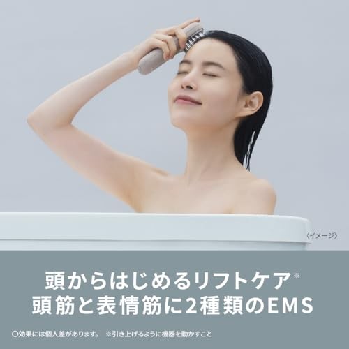 Panasonic Vita Talift Brush EMS Electric Brush Face Care Ion Grige EH-SP60-H