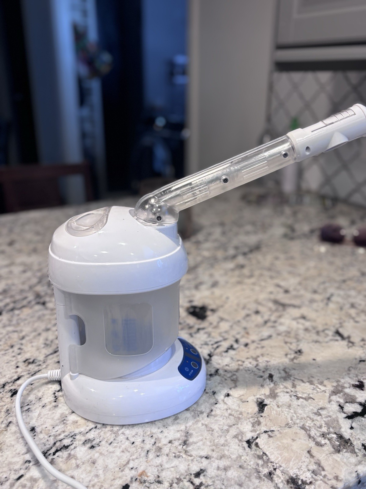 Ozone Steamer with Extendable Arm