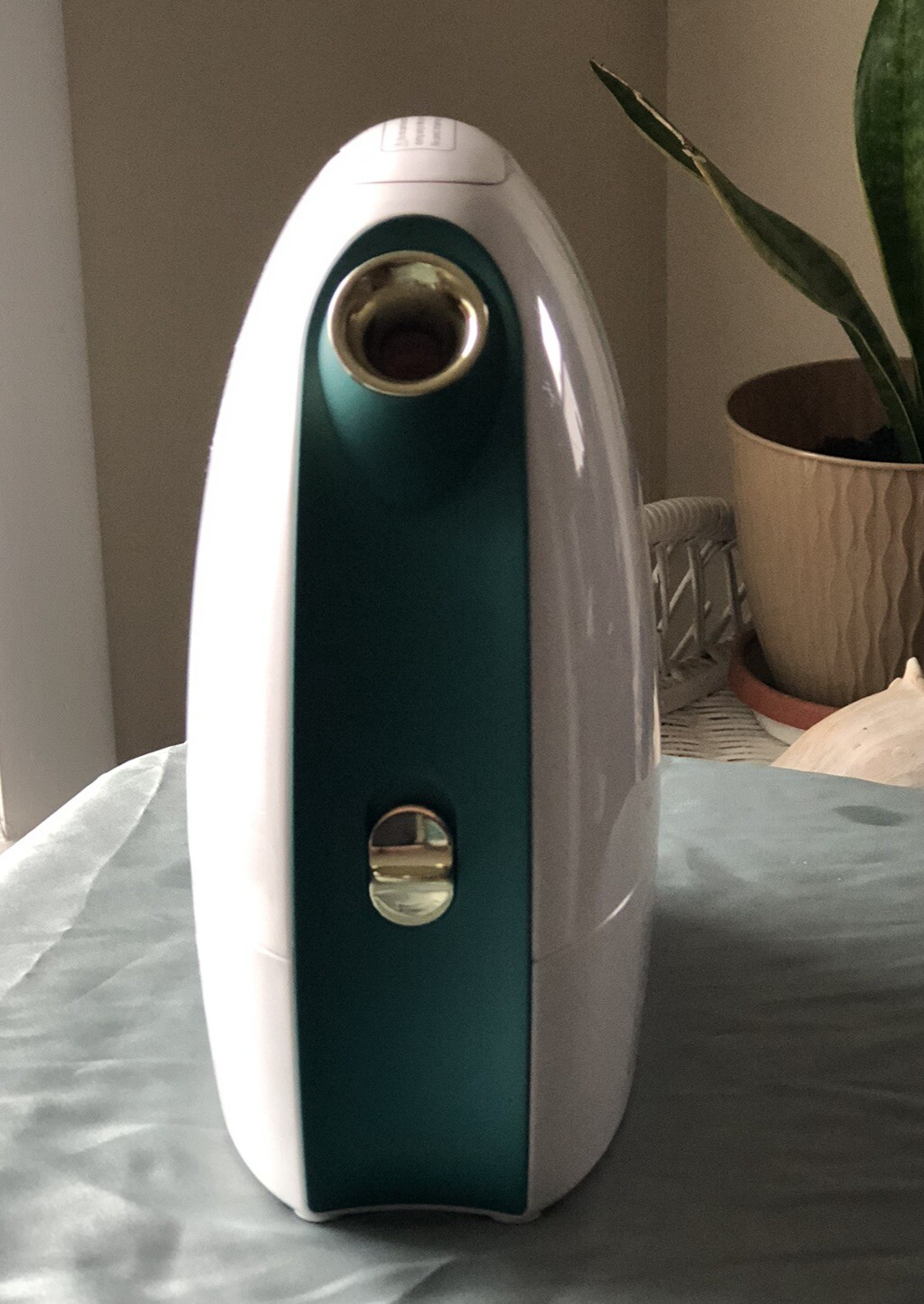 Newbealer Pro Facial Steamer, Household Humidifier & Aroma Diffuser NB388 Green