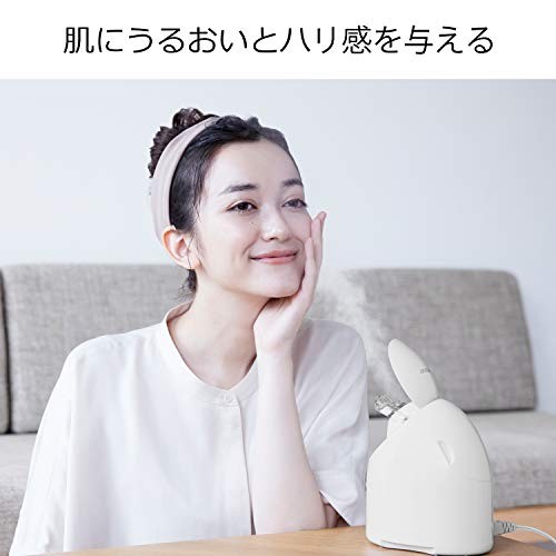 Panasonic Steamer Nano Care Compact Type Gold Tone EH-SA3B-N Japan