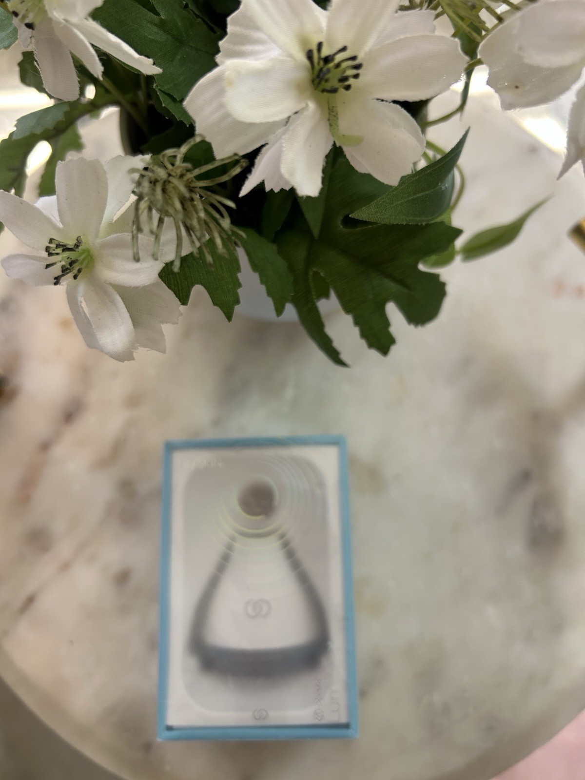 Nu Skin ageLOC LumiSpa Accent Face Facial Cleansing Device in Blue