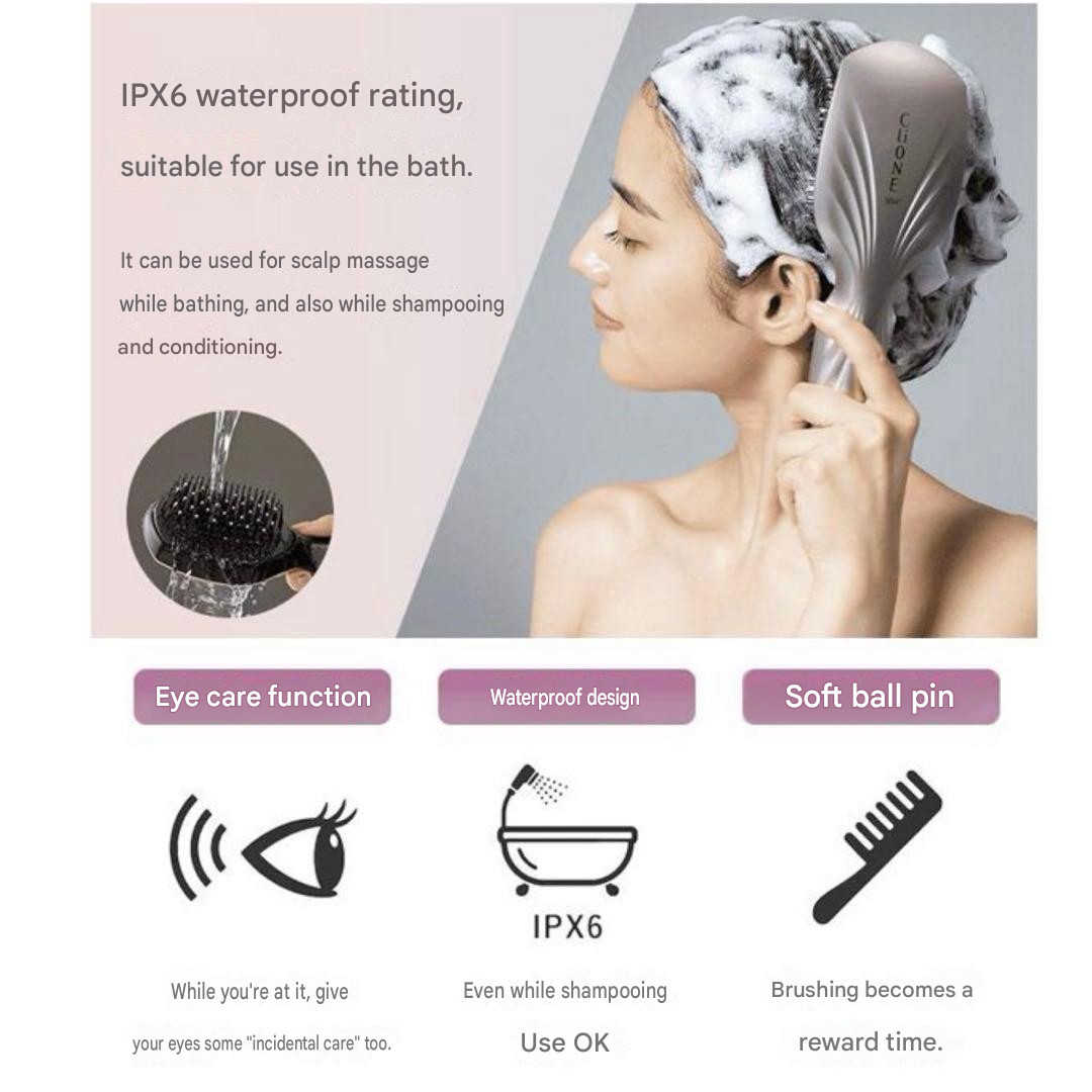 Plamine Clione Spa + Plus EMS Electric Brush Massage Facial Beauty Care Japan