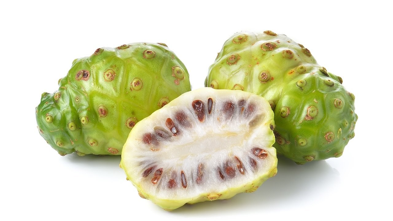 Energy weight loss pills – NONI EXTRACT – GRAVIOLA COMBO – graviola leaf capsule