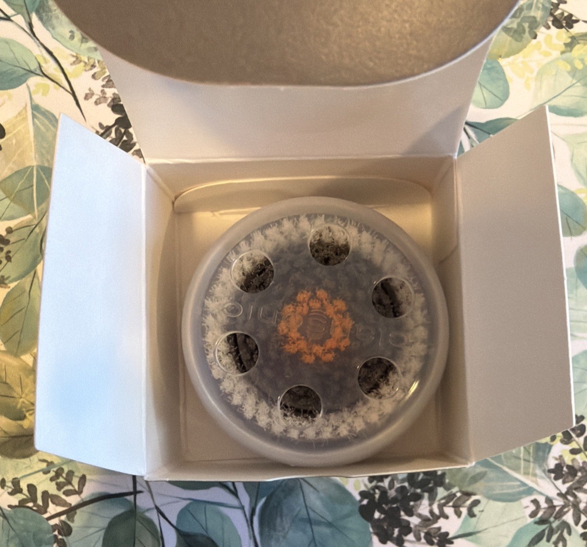 Clarisonic Alpha Brush Head Men’s Cleanse Brush Replacement Fit Mia Smart