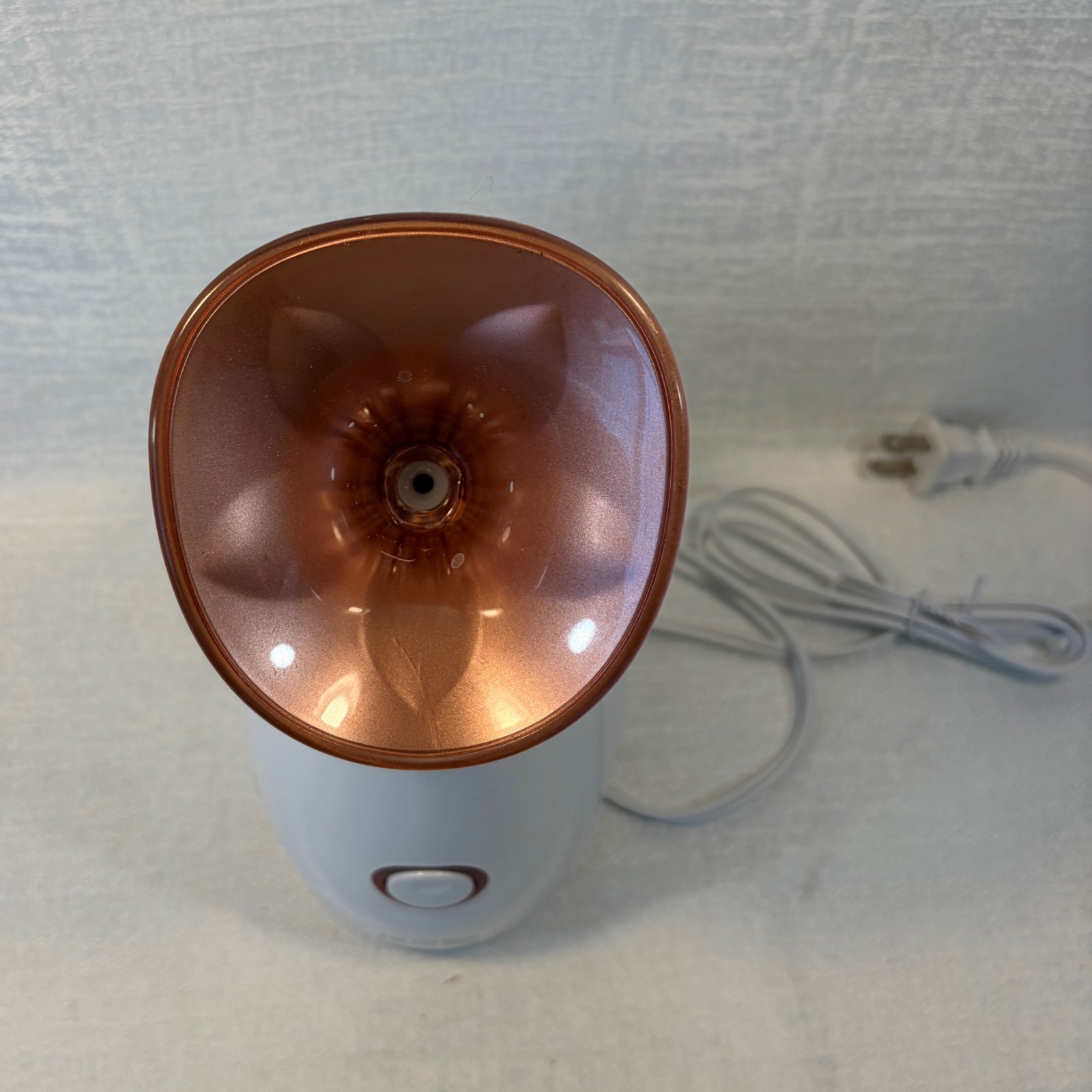 Colorfarm Nano Ionic Facial Steamer Face Humidifier Spa Mist Rose Gold MK-FS60