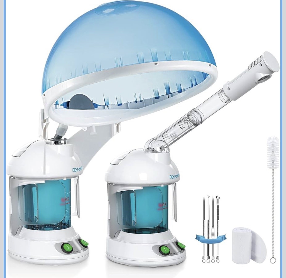DENFANY 2 in 1 Hair Steamer Facial Steamer Nano Ionic