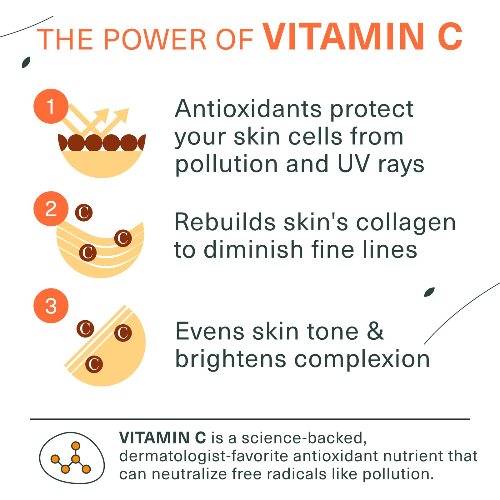 Botanic Tree Vitamin C Face Wash – Facial Cleanser for 6 Fl Oz (Pack of 1)