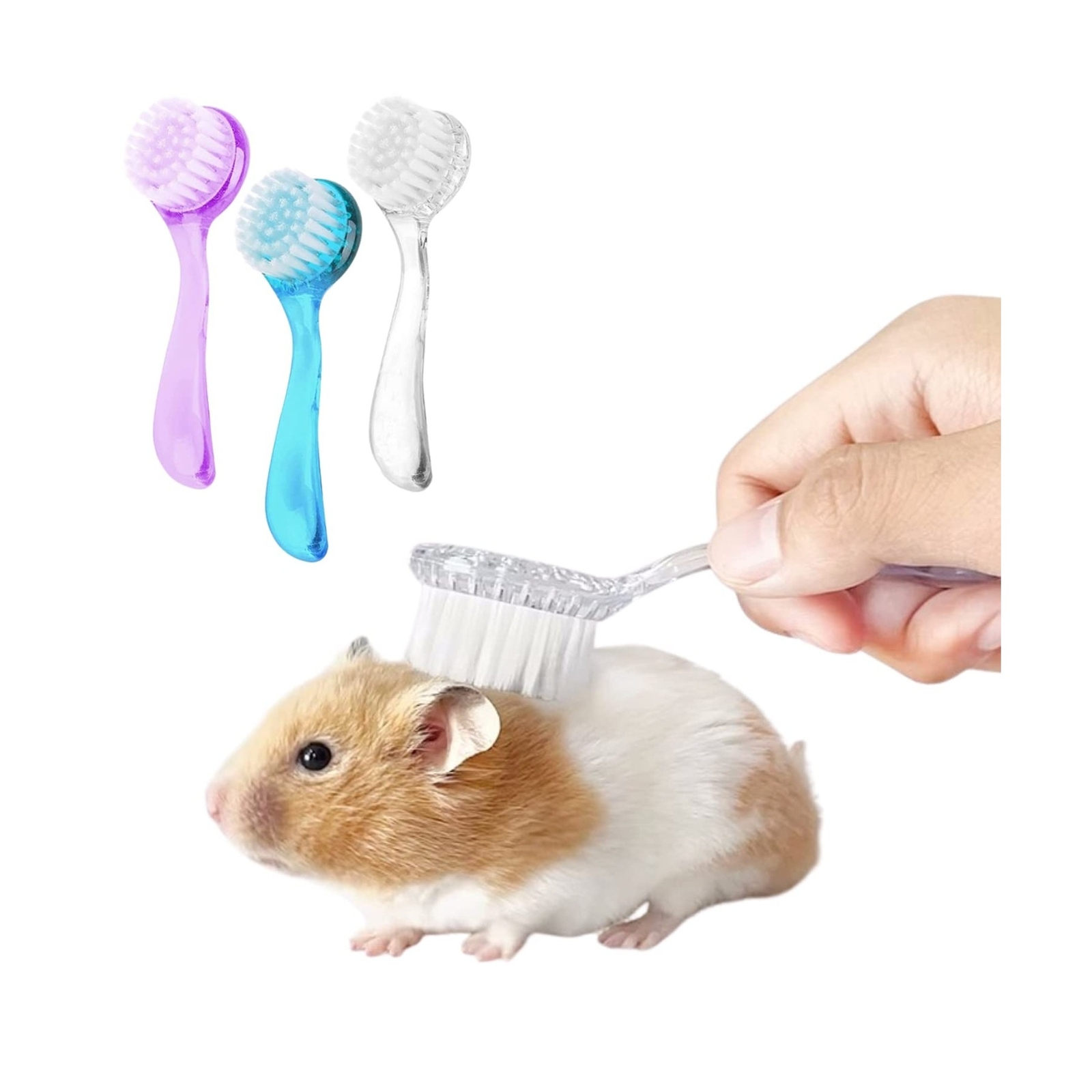 3 Pack Hamster Brush – Small Animal Bath Brush with Lid Soft Cleansing Brush …