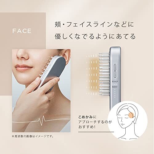 SALONIA SAL22206SL | EMS Lift Brush Electric Brush Face Care Scalp