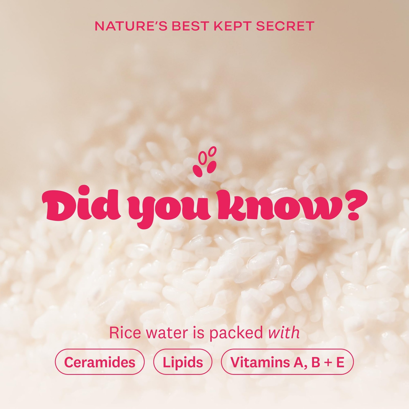 THE FACE SHOP Rice Water 10.1 Fl Oz (Pack of 1), 1)